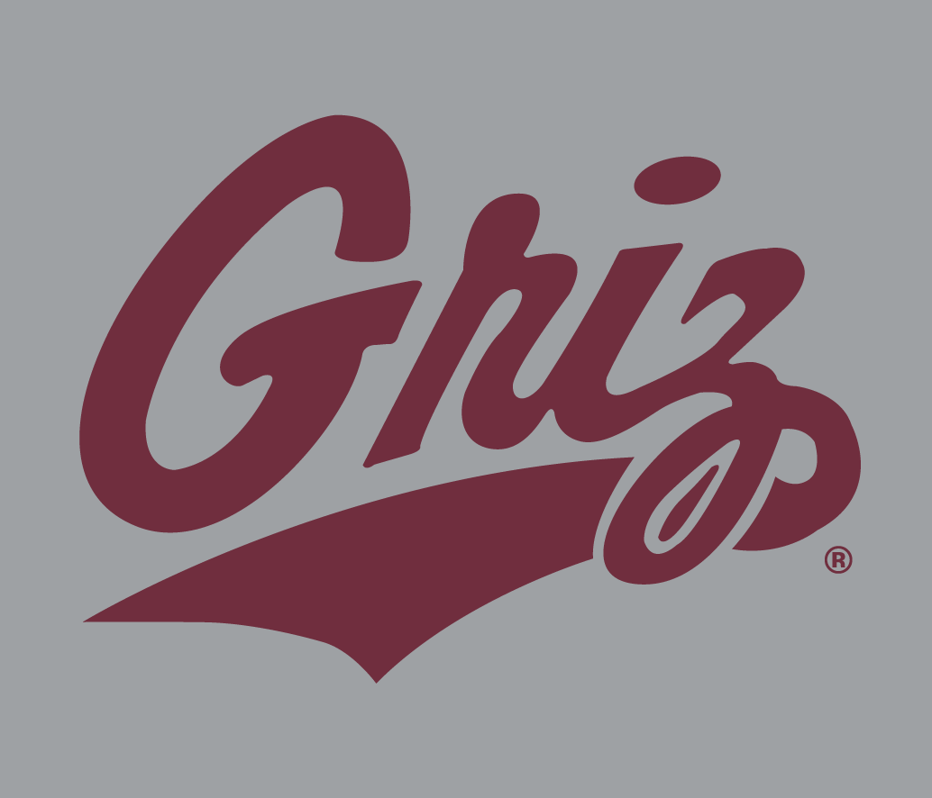 Montana Grizzlies 1996-Pres Alternate Logo v5 t shirts iron on transfers